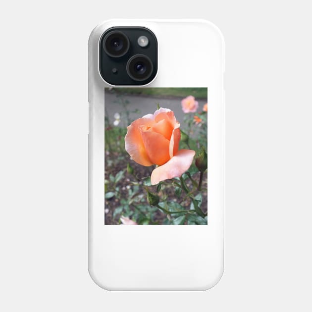 Peach Rosebud Phone Case by pinkal