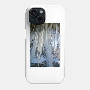 Scheidegg First Waterfall in winter Phone Case