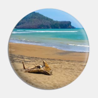 Two dead woods at a sand beach Pin