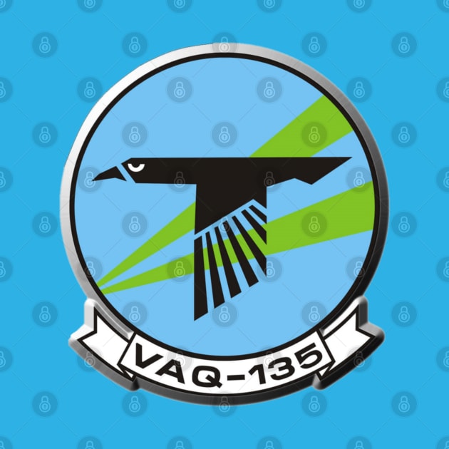Electronic Attack Squadron 135 (VAQ-135) by Airdale Navy