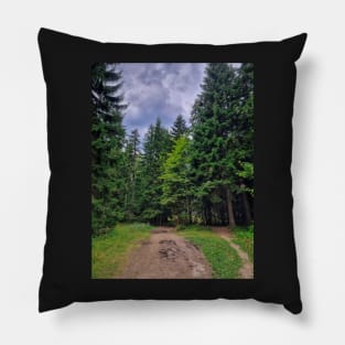 Path Fotest Trees Pillow