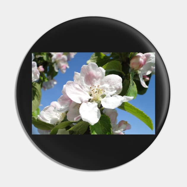 Apple Blossom Pin by AH64D