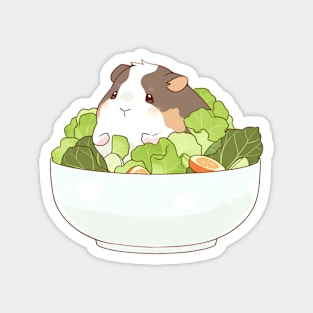 Guinea Pig Inside a Salad Bowl Magnet