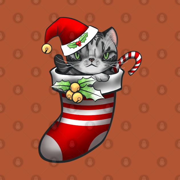 Vanilla the silver tabby cat in a stocking for Christmas by SamInJapan