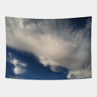 Cloud pause Tapestry