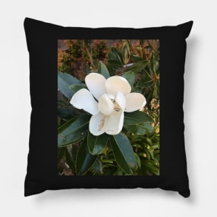 Magnolia Pillow