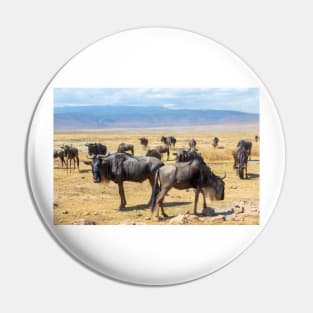 Wildebeest herd at Ngorongoro Crater in Tanzania Pin