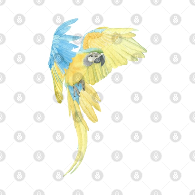 blue and gold macaw - watercolor parrot portrait by Oranjade0122