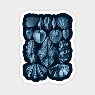 Ernst Haeckel Acephala Mollusc in Navy Magnet