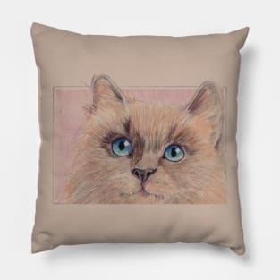 Himalayan Kitty Pillow