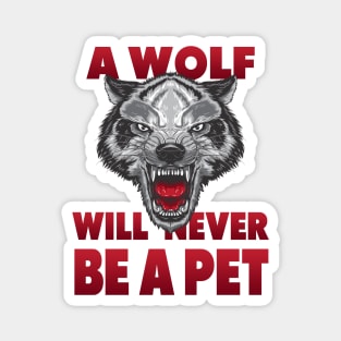 A Wolf will newer be a Pet Magnet