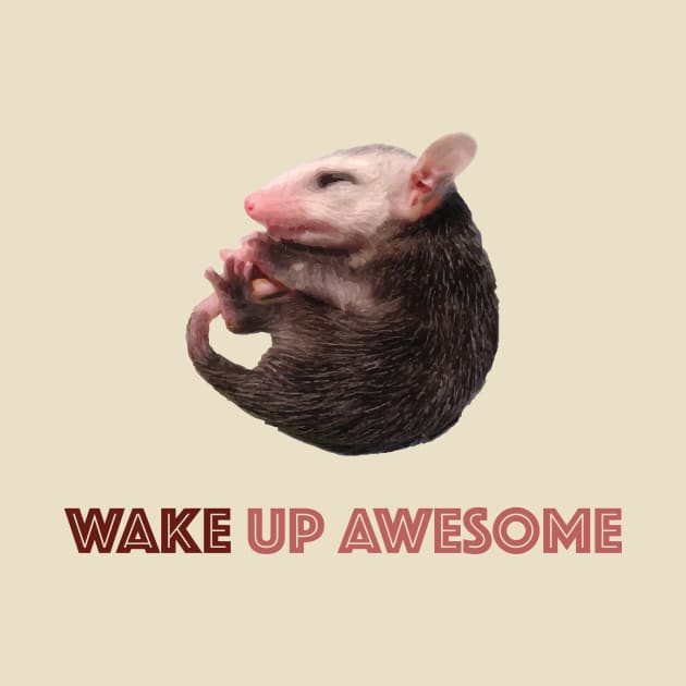 WAKE A POSSUM by mekomts