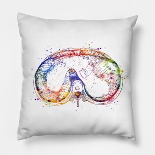 Thoracic Diaphragm Watercolor Medical Gift Pillow