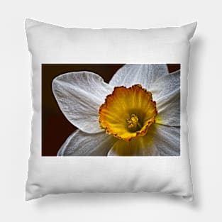 Narcissus Pillow