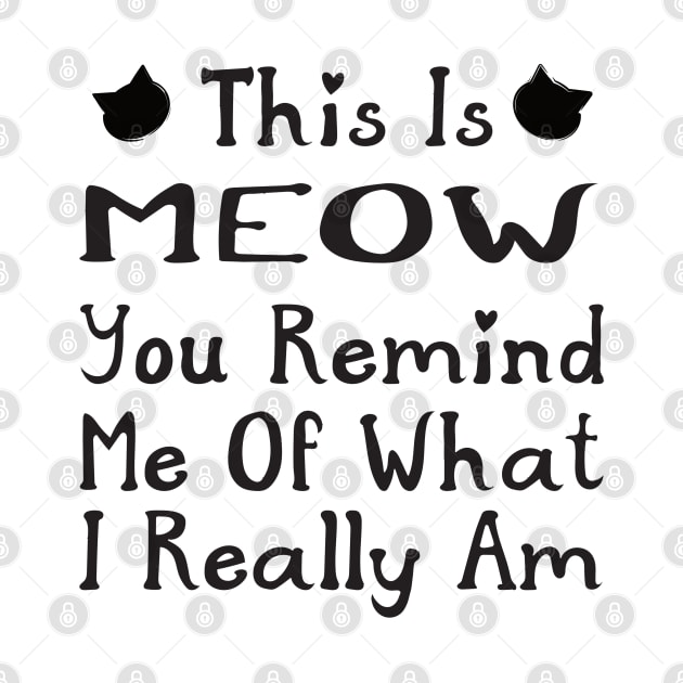 Funny Cat This is Meow You Remind Me by Punderstandable