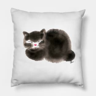Fuzzy cat Pillow