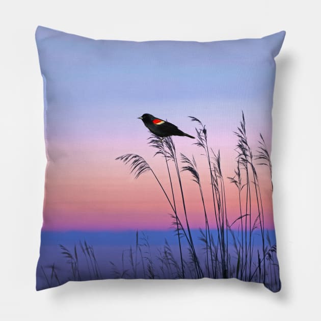 Red Winged Blackbird and Evening Sky Pillow by lauradyoung