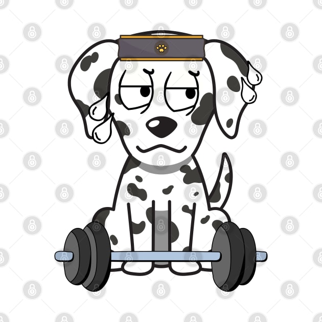 Funny dalmatian is exercising by Pet Station