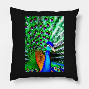 COLORFUL AND STUNNING SURREAL PEACOCK Pillow