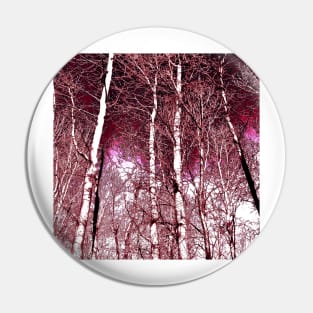 Magenta birches Pin