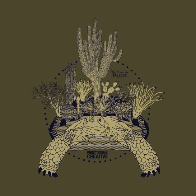 Sonoran Desert Tortoise by ProcyonidaeCreative