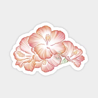 Hibisctus transparent Magnet