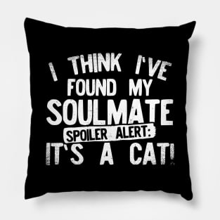 I Think I've Found My Soulmate... Spoiler Alert Its a Cat Pillow