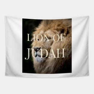 Lion of Judah Tapestry