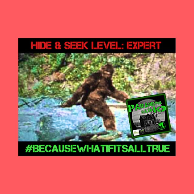 Bigfoot Hide & Seek Expert by Paradelphia