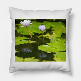 Nymphaea Water Lily Pillow