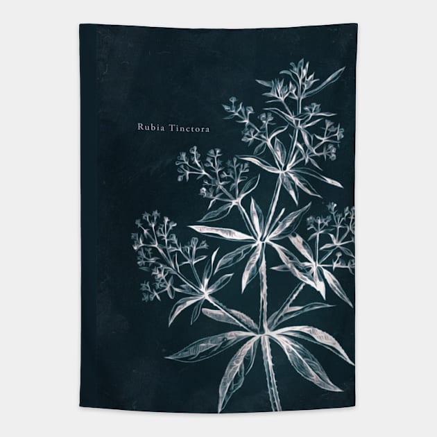 Cyanotype - Rubia Tinctora - C Tapestry by PixelHunter