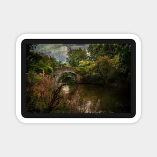 The Bridge Over The Thames At Culham Magnet