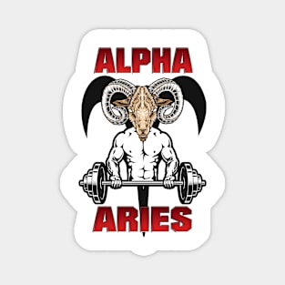 Alpha Aries Collection Magnet