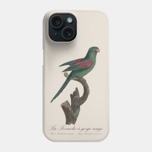 La Perruche a Gorge Rouge Parakeet - Jacques Barraband 19th century Illustration Phone Case