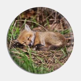 Fox Kit 9 Pin