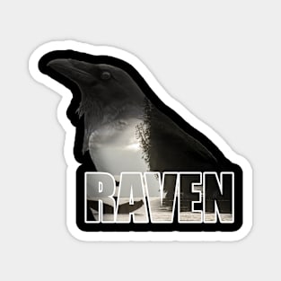 The Raven Magnet