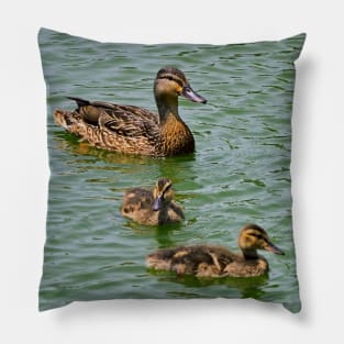 Mother Mallard Duck and Her Ducklings Pillow