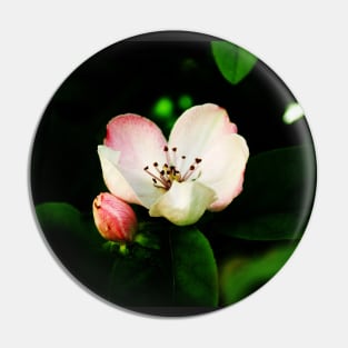 Quince Pink Flower and Bud Pin