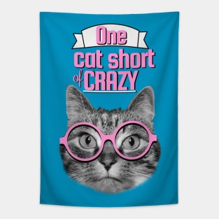 One cat short of crazy Tapestry