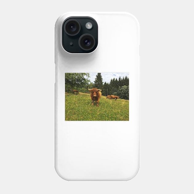 Scottish Highland Cattle Cows 2073 Phone Case by SaarelaHighland