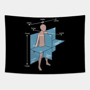 Dorsal Ventral Planes Of Human Body - Nurse Or Physician Tapestry