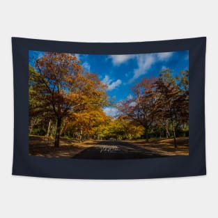 Honour Avenue, Mount Macedon, Victoria, Australia. Tapestry