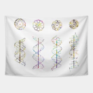 A-,B-,C- and Z-DNA Tapestry