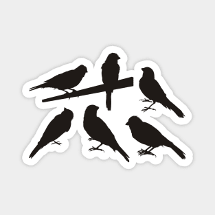 Singing Pet Bird Silhouettes Black Magnet