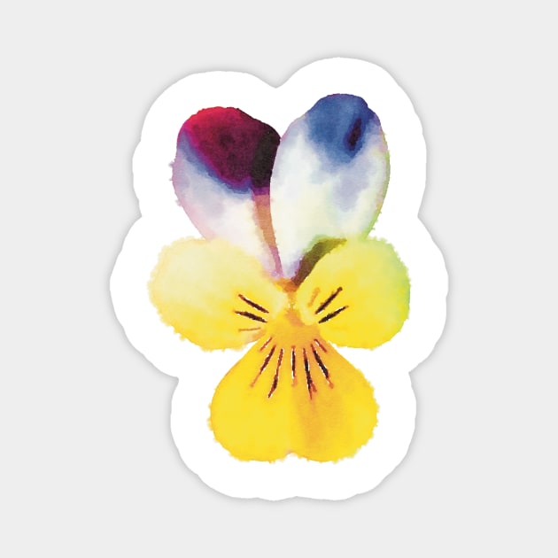 Yellow and Purple Johnny Jump-Up Flower Magnet by Griffelkinn