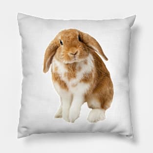 Lop rabbit Pillow