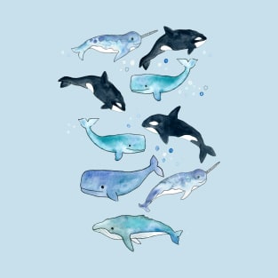 Whales, Orcas & Narwhals T-Shirt