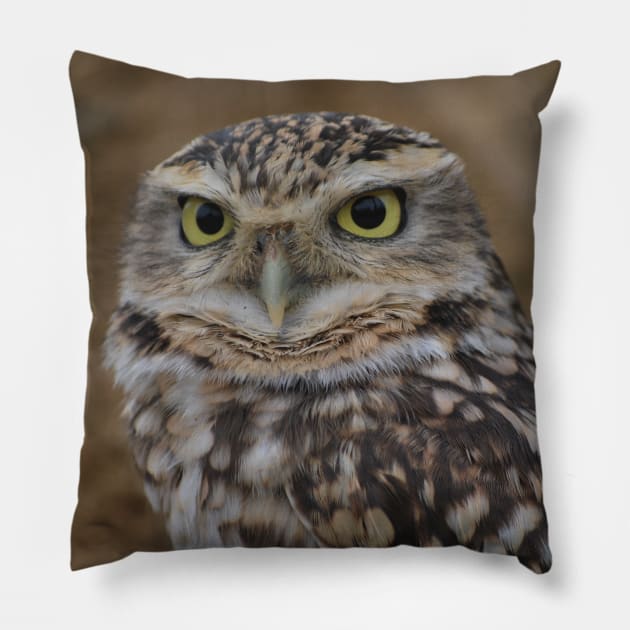 Burrowing Owl Pillow by snknjak