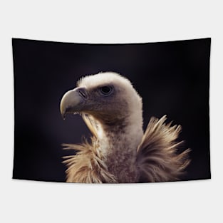 vulture head, portrait Tapestry