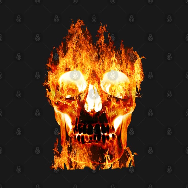 Flaming Skull by By Diane Maclaine